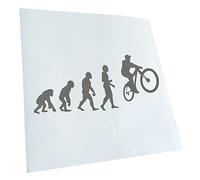 Kiwistar - Autoaufkleber - Grau - 50x21cm Evolution Mountainbike Radfahren - Heckscheibe Auto Aufkleber wetterfest für Kfz LKW Mofa Truck - Sticker außen selbstklebend Tuning Zubehör für Fenster