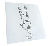 Kiwistar - Autoaufkleber - Silber - 20x7cm Katze - Heckscheibe Auto Aufkleber wetterfest für Kfz LKW Mofa Truck - Sticker außen selbstklebend Tuning Zubehör für Fenster Fahrzeug Scheibe