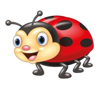 Kleberio Marienkäfer 13 x 10 cm Aufkleber Sticker Auto Motorrad Carravan Autoaufkleber Wohnwagen