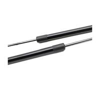 Kofferraum Gasfeder Für Lexus is (XE20) IS250 IS350 IS300 Ohne Spoiler Limousine 2005-2015 Heckklappe Streben Trunk Boot Schocks Dämpfer Lift Unterstützung Motorhaube Gasfeder(Normal Black)