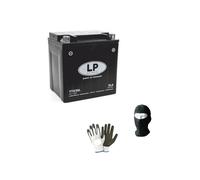KOMPATIBEL MIT Harley Davidson FLTRU Road Glide Ultra 1868 Jahr 2018 AL 2019 YTX30L YIX30L-BS Batterie BEREITS GELADEN UND BEREIT AGM-BATTERIEN 30 Ampere 12 Volt 166X126X173MM CCA 385A