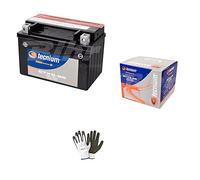 Kompatibel mit Honda 125 FES Pantheon 2001 Batterie bereits gebrauchsfertig Technisch YTX9-BS Batterien 8 Ampere 12 Volt spezifisch für Motorrad Scooter 150 x 87 x 105