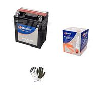 Kompatibel mit Honda 125 FES Pantheon 2003 Batterie bereits gebrauchsfertig Technisch YTX7L-BS Batterien 6 Ampere 12 Volt spezifisch für Motorrad Scooter 113 x 70 x 130