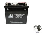 KOMPATIBEL MIT ROYAL ENFIELD Continental GT E4 650 dal 2018 al 2020 MIDAC YTX14-BS-BATTERIE,BEREIT ZUM EINBAU,VOLLSTÄNDIGE LADUNG, 12A, 12V, ITALIENISCH,150X87X145