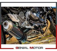 Komplette Auspuffanlage GPR Satinox Poppy Racing Kawasaki Z 650 RS 2021 2023