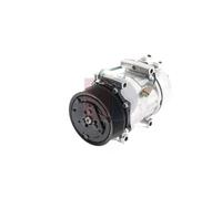 AKS DASIS Kompressor, Klimaanlage Universal 24V 850626N