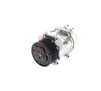 AKS DASIS Kompressor, Klimaanlage Universal 24V 850626N