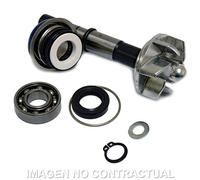 Kostenloser Versand Reparaturset Wasserpumpe Daelim S3 Für Motorrad Ersatzteile