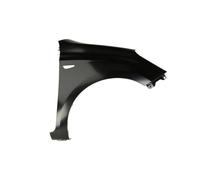 Blic 6504-04-3128312P Kotflügel Vorne Rechts für Hyundai i20 I PB 08-12