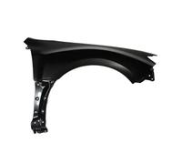 Kotflügel BLIC 6504-04-6734316P, Rechts