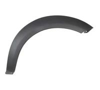 Zier-/Schutzleiste, Kotflügel BLIC 5703-08-6425378P