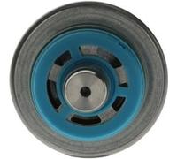 BOSCH F000DR0219 Kraftstoffdruckregler Druckspeicher Druckregler für Ford