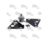 Kraftstoffdruckregler Sidat 83.1274 für Audi Seat Skoda VW Vag Land Rover