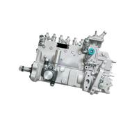 Kraftstoffpumpe 1 Stück B6AD548G-R 13053063 13030186 BH6AD100R BH6PN120R kompatibel mit Weichai Deutz TD226B-6 Motor