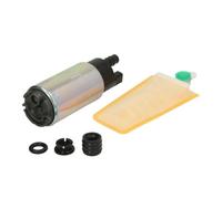 DELPHI FE0793-12B1 Benzinpumpe 113mm 38mm 38mm elektrisch 0,34kg