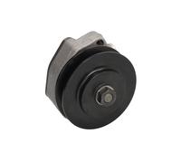 Kraftstoffpumpe DEUTZ 04515665