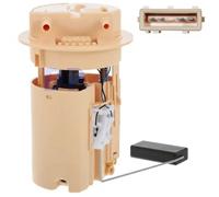 Delphi Kraftstoffpumpe FE10143-12B1 für Citroën (Hitachi)