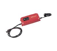 Kraftwerk Smart-Batterie-Ladegerät 12/24 V 25 A