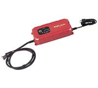 Kraftwerk Smart Batterie Ladegerät 12V 24V 25A