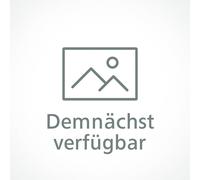 KUDA Handy Halterung 8245 passend für Mitsubishi L200 ab 2019