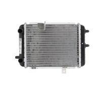 Kühler, Motorkühlung NISSENS 60363