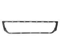 Kühlergrill Gitter Rahmen für SMART FORTWO 451 04.12-08.14