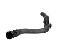 Kühlerschlauch THERMOTEC DWW176TT