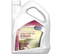 Kühlerschutz Kühlmittel G12+ Premium Longlife MPM 5L gebrauchsfertig -40°C