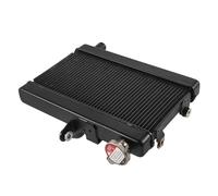 Kühlerschutzgitter Für Honda Rebel CL500 CL300 CMX500 CMX 500 2017-2023 Motorrad Motor Kühler Kühler Kühlsystem Motorrad Zubehör