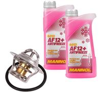 Kühlmittel Thermostat + Kühlerfrostschutz AF12+ rot, 2x1L