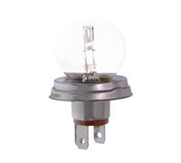MAXGEAR Glühlampe, Fernscheinwerfer Hauptscheinwerfer Fernscheinwerfer,Glühlampe, 1x für GENERAL MOTORS DAF IVECO MAN 78-0053