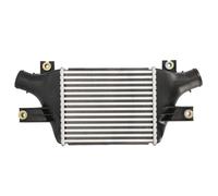 Intercooler - Luftkühler 30969 NRF für CITROËN MITSUBISHI PEUGEOT MERCEDES-BENZ