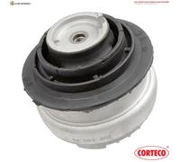 LAGERUNG MOTOR 80000315 FÜR BMW M54B30 3.0L M54B25 2.5L 6cyl 3 E46