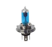 Lampa H4 Birnen im Xenon Look (12V 60/55W Paar)