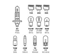 Set Leuchten Ersatz 1SINGOLA Halogen H1 12V 8 Leuchten+3 Sicherungen Genehmigt
