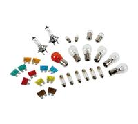 Lampa Kit Ersatzlampen 30 St., Halogen 2xH7 - 24V