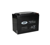 Landport EVX12055 - Gel VRLA Batterie - 12V 55Ah (c20) - Hohe Zyklenfestigkeit