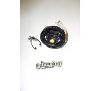 Lenkerschalter E-Startschalter Anlasserschalter Taster passt an Honda Cr Crf