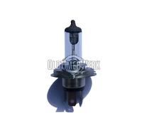 BOSCH Glühlampe, Fernscheinwerfer Glühlampe, Hauptscheinwerfer Glühlampe, Nebelscheinwerfer 1 987 302 041