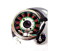 Lichtmaschine 125ccm GY6 BAOTIAN JMSTAR ZNEN YIBEN YIYING 12Phase Retro Roller