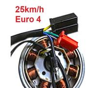 Lichtmaschine 25 km/h AGM GMX 460 Retro Classic NF Sport Euro 4 E4 Motorroller