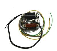 Lichtmaschine 6V 17W mit Bremslicht Zündung Bosch für/kompatibel mit Puch, Kreidler, Sachs, Zündapp,