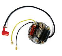 Lichtmaschine 6V 17W Zündung Bosch Puch, Kreidler, Sachs, Zundapp, KTM +Stecker