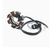 LICHTMASCHINE STATOR - 8 SPULEN für BAOTIAN 50QT BENZHOU YIYING YY50QT REX RS AGM GMX JINAN QINGQI SPEEDY JMSTAR MOTINO KREIDLER FLEX TECH BENERO ADLY SUKIDA CHINA ROLLER 50 139QMA 139QMB GY6 4-TAKT
