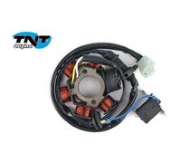 Lichtmaschine Zündung TNT Stator Grundplatte für Peugeot Speedfight 2 AC 307