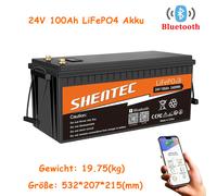 LiFePO4 24V/12V 300Ah 200Ah 135Ah 100Ah Lithium Batterie BMS Wohnmobil RV Solar