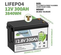 LiFePO4 Akku 12V/24V 100Ah 200Ah 300Ah Lithium Batterie BMS für Wohnmobile Solar