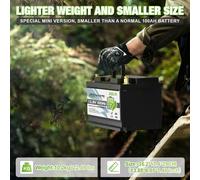 LiFePO4 Akku 12V/24V 100Ah 200Ah 300Ah Lithium Batterie BMS für Wohnmobile Solar
