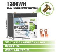LiFePO4 Akku 12V/24V 100Ah 200Ah 300Ah Lithium Batterie BMS für Wohnmobile Solar
