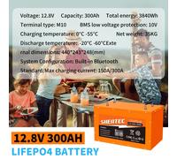LiFePO4 Akku 24V 12V 300Ah 200Ah 150Ah Lithium Batterie BMS für Wohnmobil Boot